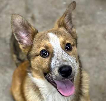 Photo of Lil Lad