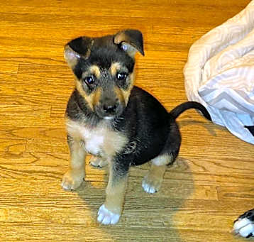 Photo of Rylie