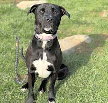 Photo of Lucy