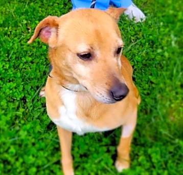 Photo of Digby