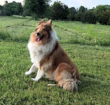 Photo of Stoney