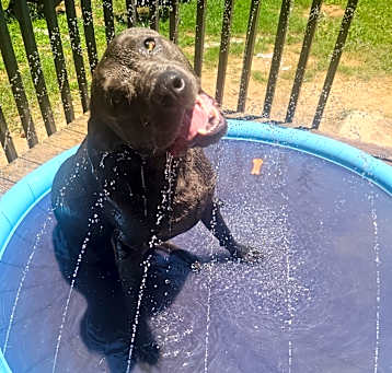 Photo of Max