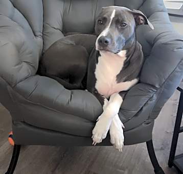Photo of Lila