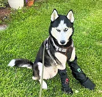 Photo of Atreus