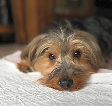 Photo of Quba