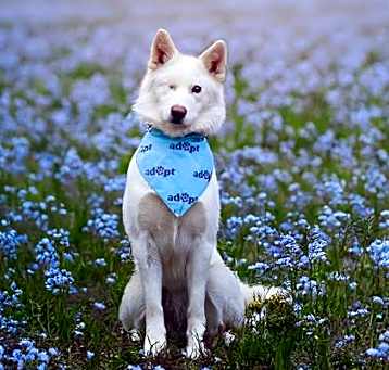 Photo of JOLENE