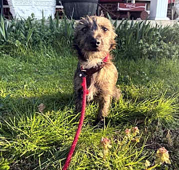 Photo of Frodo