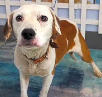 Photo of Keeva PLEASE HELP!