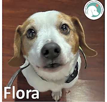 Photo of FLORA