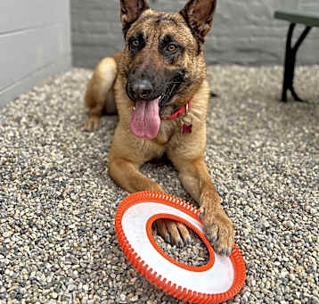 Photo of Flex