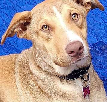 Photo of Coco