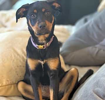 Photo of Hazel
