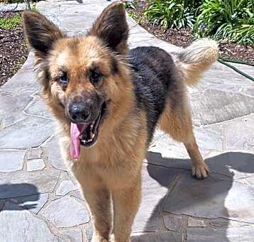 Photo of MAVERICK