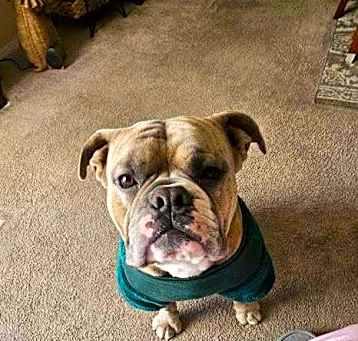 Photo of WALLY #1