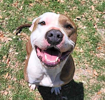 Photo of Buffy