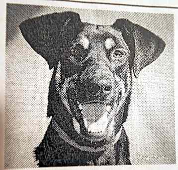 Photo of Stellla