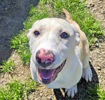 Photo of Bagel