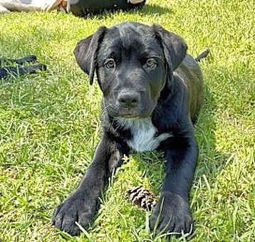 Photo of Kilty