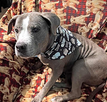 Photo of Bonnie