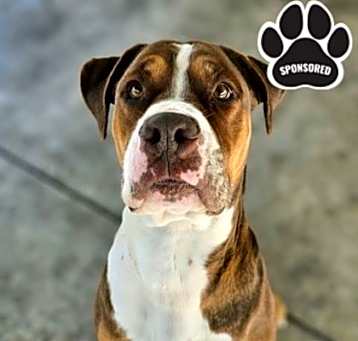 Photo of Tank
