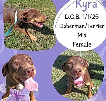 Photo of Kyra