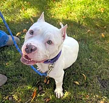 Photo of Maggie