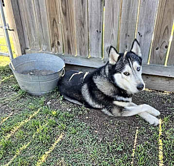 Photo of Sawyer