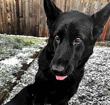 Photo of Bucket