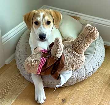 Photo of Moxie