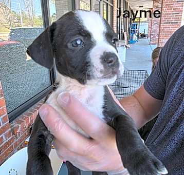 Photo of Jayme