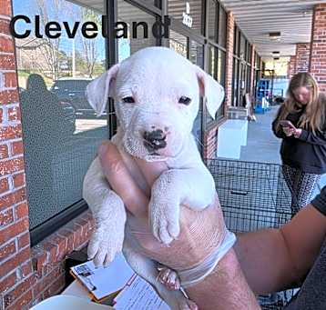Photo of Cleveland