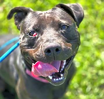 Photo of Happy