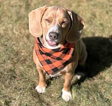 Photo of Sam