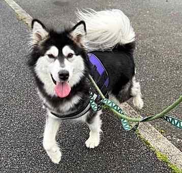 Photo of Athena