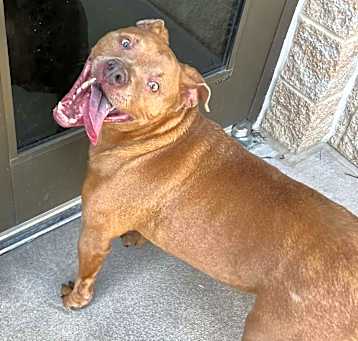 Photo of Stanley