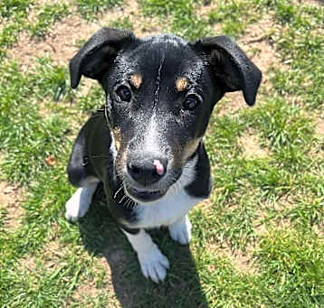 Photo of Jaina (fka Thumper)