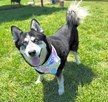 Photo of Daisy