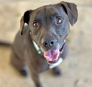 Photo of BASH