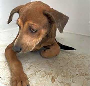 Photo of JADA