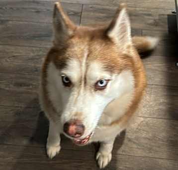 Photo of Mia