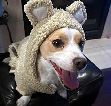 Photo of Oliver