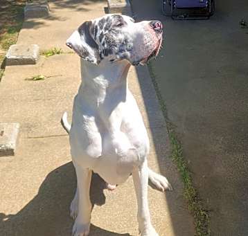 Photo of Zeus
