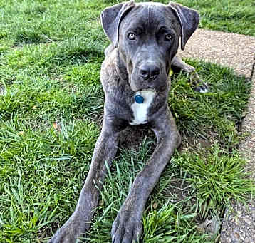 Photo of Thor