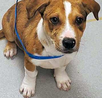 Photo of Marcie 11/21/23