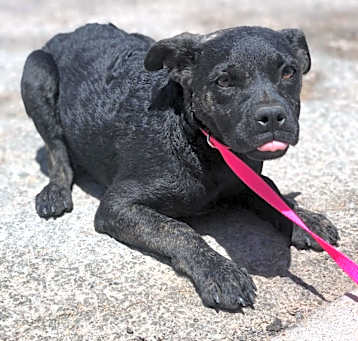 Photo of Mya 6/30/22