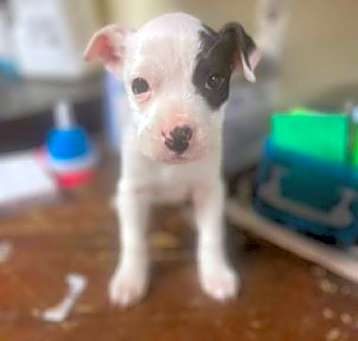 Photo of Fiona