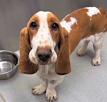 Photo of Betty