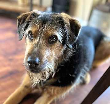 Photo of Sway