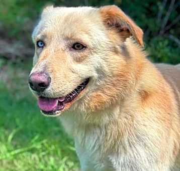 Photo of Ace