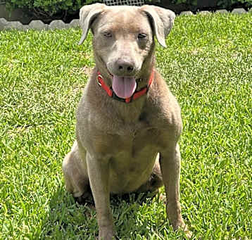 Photo of Ellie